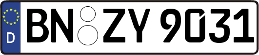 BN-ZY9031