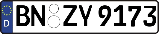 BN-ZY9173