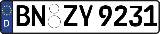BN-ZY9231