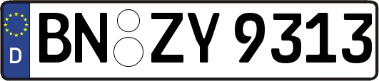BN-ZY9313