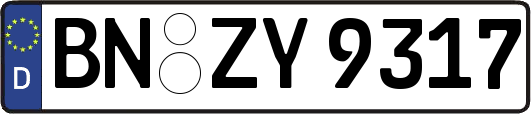 BN-ZY9317