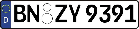 BN-ZY9391