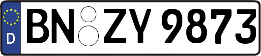 BN-ZY9873