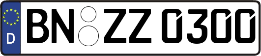 BN-ZZ0300
