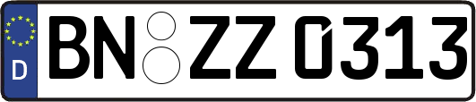 BN-ZZ0313