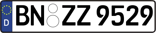 BN-ZZ9529