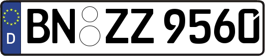 BN-ZZ9560