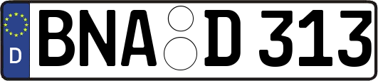 BNA-D313