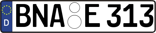 BNA-E313