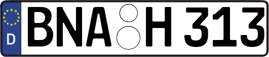 BNA-H313