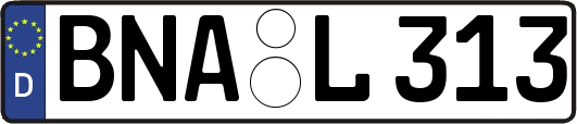 BNA-L313