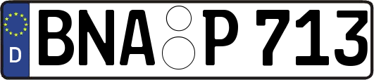 BNA-P713