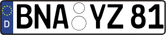 BNA-YZ81