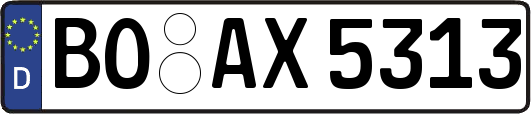 BO-AX5313
