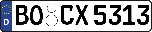 BO-CX5313