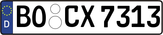 BO-CX7313