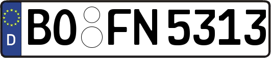 BO-FN5313