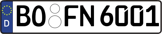 BO-FN6001