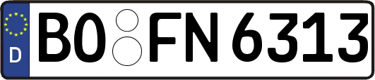 BO-FN6313