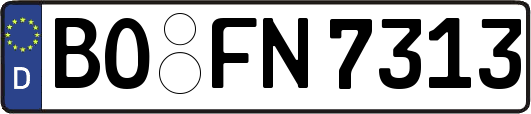 BO-FN7313