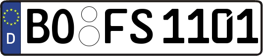 BO-FS1101