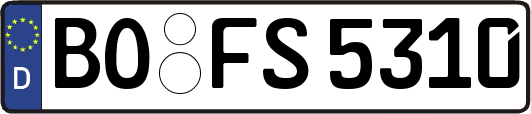 BO-FS5310