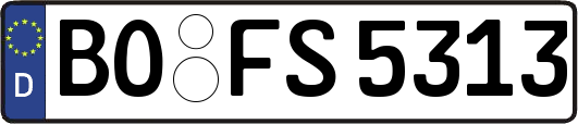BO-FS5313