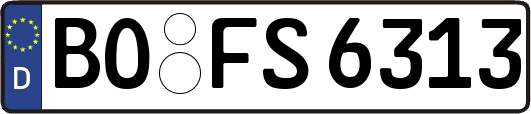 BO-FS6313