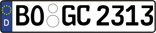 BO-GC2313