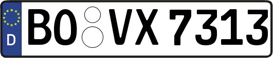 BO-VX7313