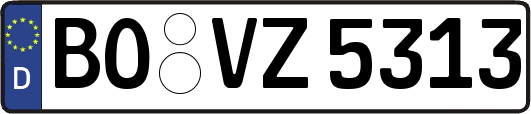 BO-VZ5313