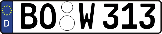 BO-W313