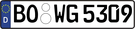 BO-WG5309