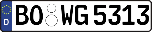 BO-WG5313