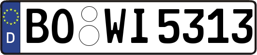 BO-WI5313
