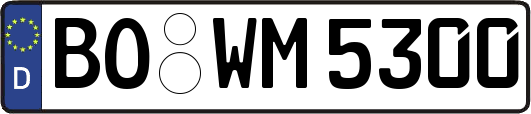 BO-WM5300