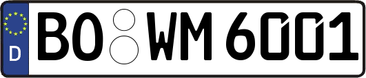 BO-WM6001