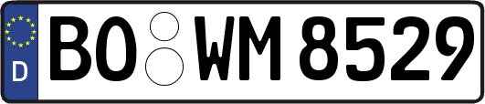 BO-WM8529