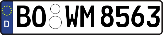 BO-WM8563