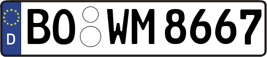 BO-WM8667