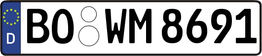 BO-WM8691