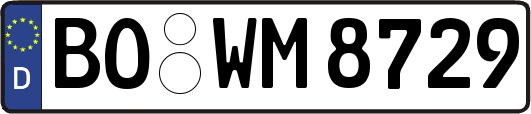 BO-WM8729