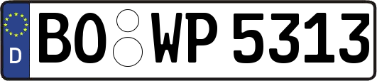 BO-WP5313