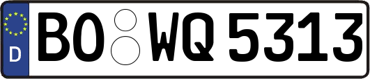 BO-WQ5313