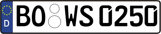 BO-WS0250