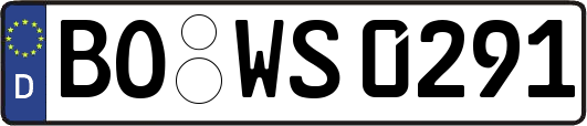BO-WS0291
