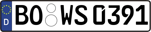 BO-WS0391