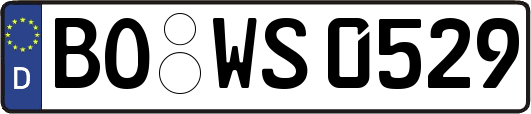 BO-WS0529