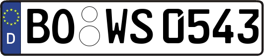 BO-WS0543