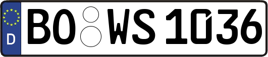 BO-WS1036